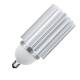 Afbeelding van LED Lamp E27 40W  voor Openbare Verlichting.