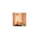 Image of 4.9W GU10 PAR16 Smart WiFi + Bluetooth WIZ Dimmable LED Bulb