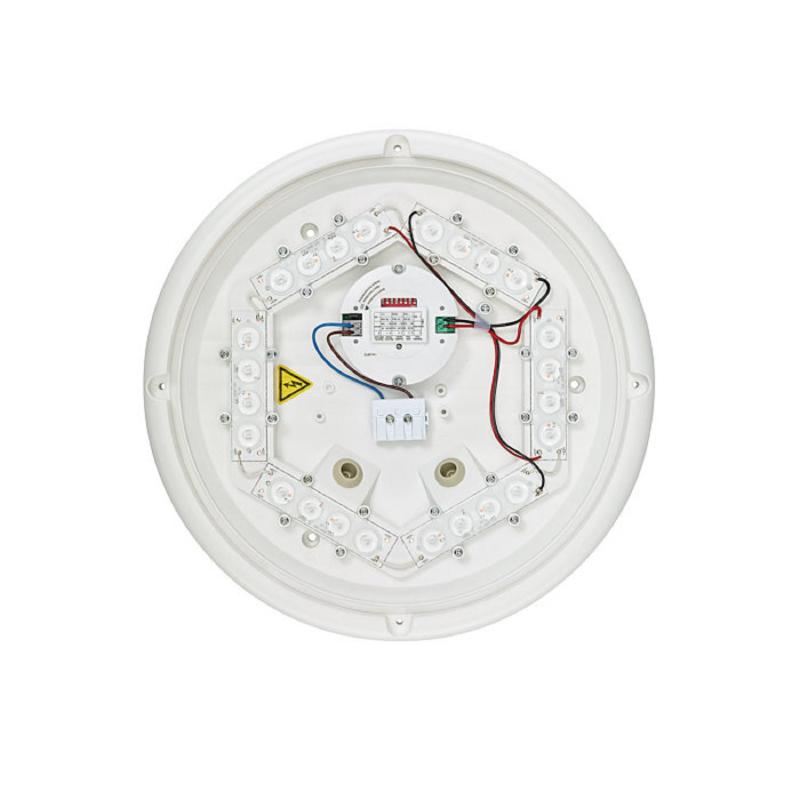 Bild von LED-Wandleuchte 11W IP65 PHILIPS Ledinaire WL070V