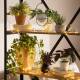 Image de Guirlande Extérieure LED Piner 6m 