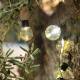 Image de Guirlande d’Ampoules LED Solaire Nikola 2m