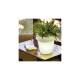 Image de Jardinière Magnolia 30 Cable Outdoor Cool 