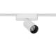 Afbeelding van Magneet Rail Spot Eenfase 25mm SuperSlim 12W 48V Wit 