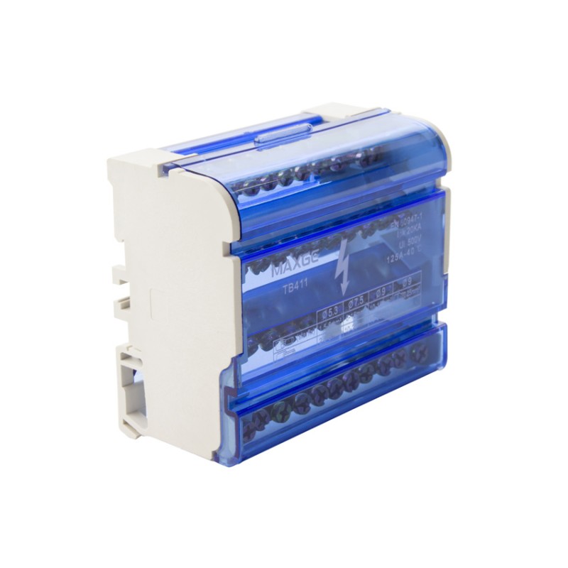 Immagine di Distributore di Energia 4P 125A MAXGE