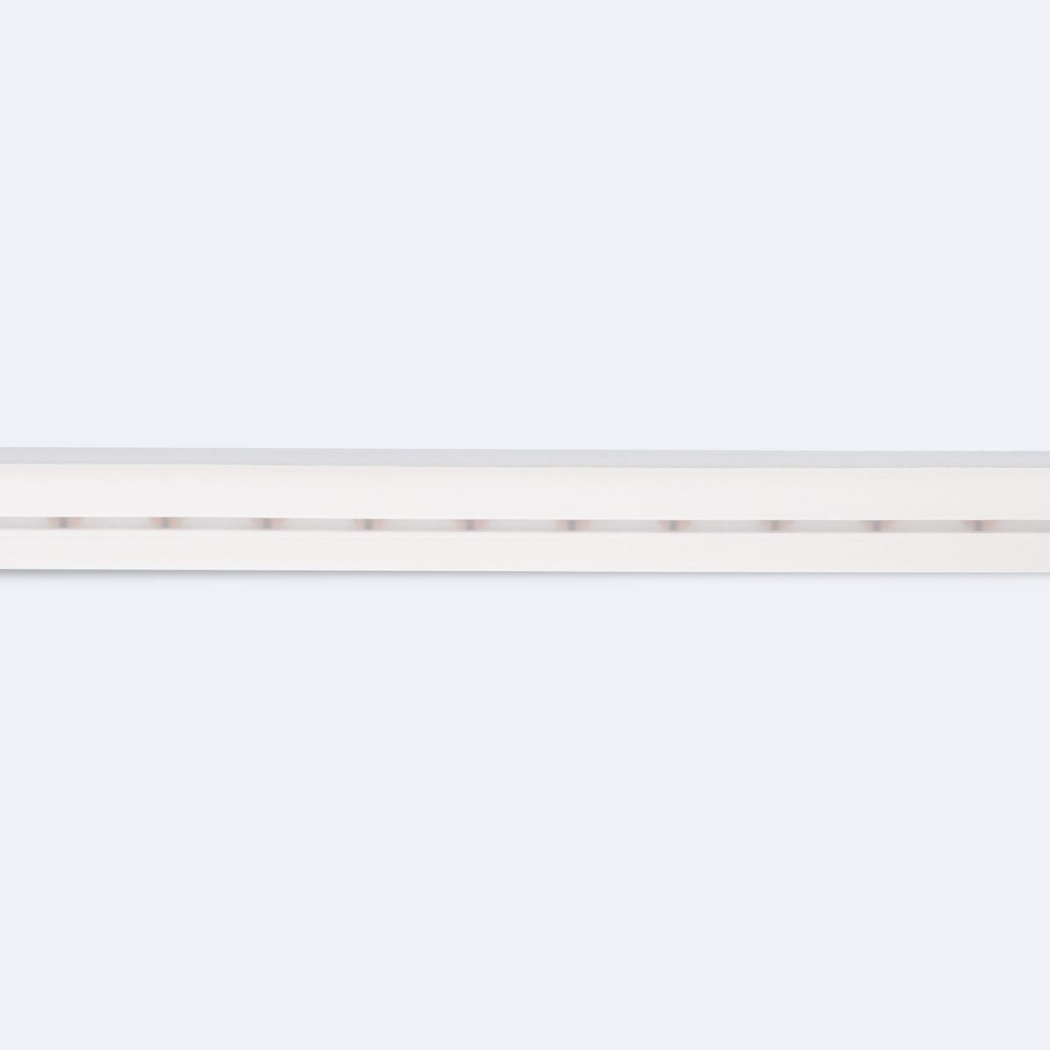Taśma LED Neon 12V 7,2W/m Szpula 100m, Szerokość 12mm, FreeCut – do Szyldów i Oznakowania - widok prezentacyjny