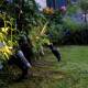 Image of 3W 12V Bloom Outdoor LED Spotlight with Fern EasyFit Spike 