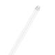 Image of 18.3W 150cm T8 G13 LEDVANCE Glass LED Tube 109lm/W