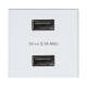 Image de Prise Double USB SIMON 27 Play 2701096