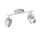 Image de Plafonnier LED PHILIPS Double Byre 2 Spots 8.6W
