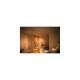 Image de Plafonnier LED PHILIPS Double Byre 2 Spots 8.6W