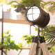 Image de Lampadaire Bois Boes