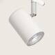 Image de Plafonnier Orientable Bois et métal 2 Spots Albus 