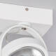 Image de Spot LED 15W CREE en Saillie Orientable AR111 Dimmable Blanc 