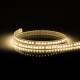 Image de Bobine LED 220V AC 100LED/m 50m Blanc Chaud IP67 50m Largeur 14mm Coupe tous les 25cm 