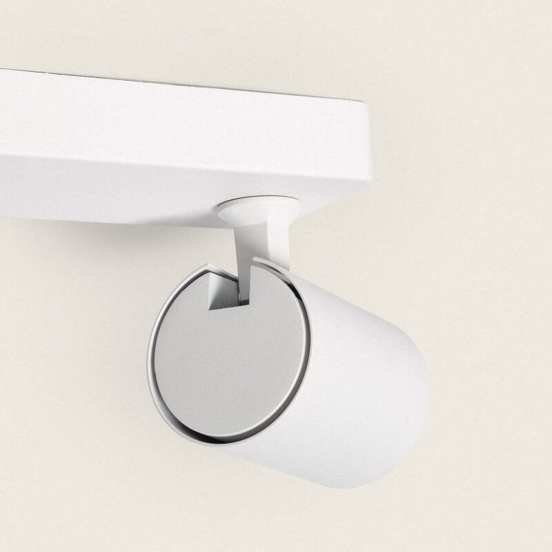 Image de Plafonnier Orientable Aluminium 2 Spots Blanc Cora