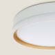 Image de Plafonnier LED 24W Rond Métal Ø400 mm Marstal
