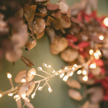 Immagine di Ghirlanda per Esterni in Fil di Ferro LED Cromato 5 m