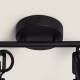 Image de Plafonnier Orientable Aluminium Emer 2 Spots Noir