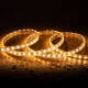 Bild von LED-Streifen CCT 220V 120 LED/m 10W/m 900lm/m Breite 14mm Schnitt 100cm IP65 nach Maß