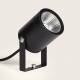 Bild von LED-Strahler Außen 3W mit Erdspieß Palm EasyFit 12V