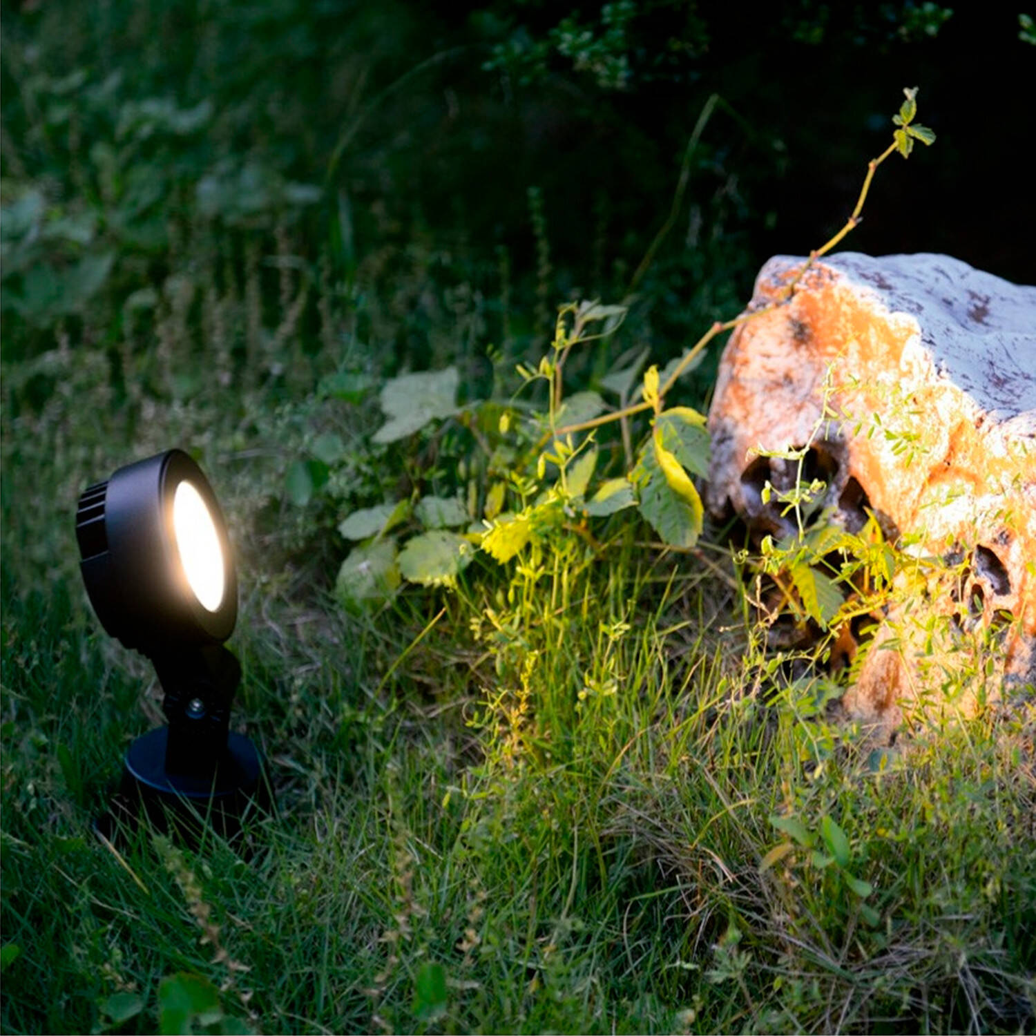 Lampa Ogrodowa LED z Bolcem Argo 3W - widok szczegółowy