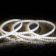 Image de Ruban LED 220V SMD2835 120LED/m Blanc Froid IP65 Largeur 12mm Coupe tous les 100cm 