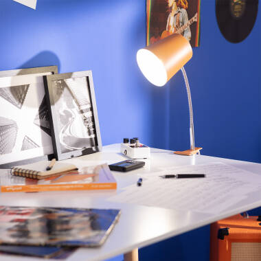 Flexibilní Stolní Lampa Kovová se Svorkou Delavan