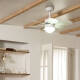 Image de Ventilateur de Plafond Silencieux Orion Blanc 81cm Moteur DC