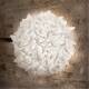 Image de Applique Murale Veli Ceiling/Wall Mini Foliage SLAMP