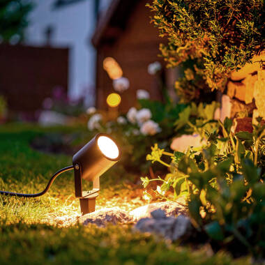 Spot Extérieur LED 3W sur Piquet Fern EasyFit 12V