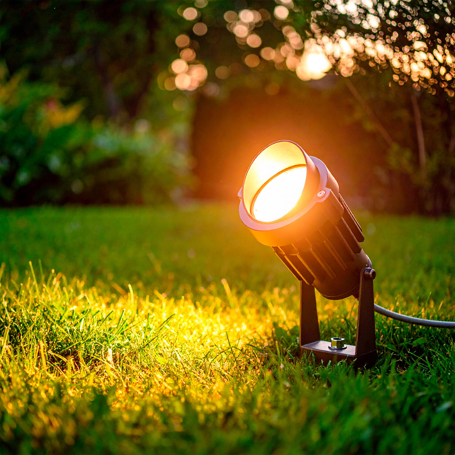 Reflektor Zewnętrzny LED 6W z Kolcem Palm EasyFit 12V