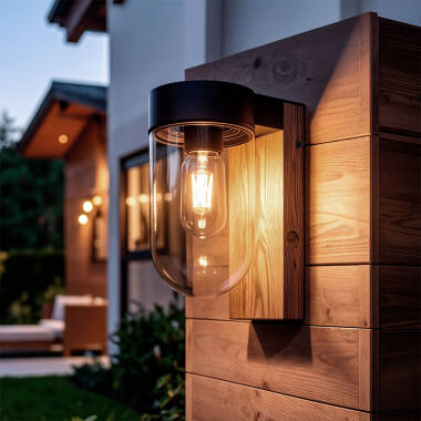 Sentinel Glass & Stainless Steel Outdoor Wall Lamp