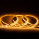 Immagine di Bobina 5m Striscia LED 24V SMD 120 LED/m 16W/m 2000lm/m High Lumen Larga 8mm IP20 Taglio 5cm