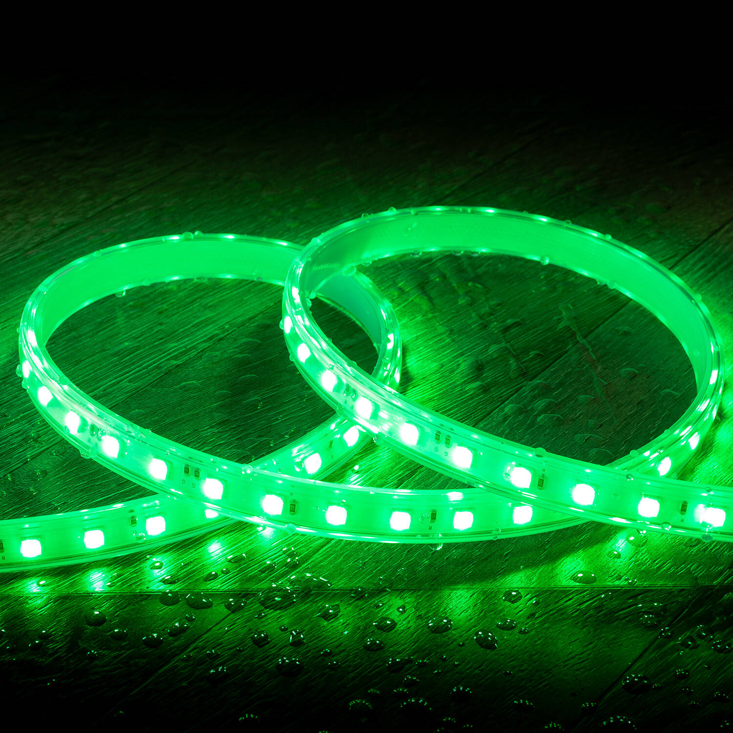 Taśma LED RGB 220V SMD 60 LED/m 9.5W/m Szerokość 14.5mm Cięcie co 100cm IP65 z Pioltem na Wymiar - widok prezentacyjny