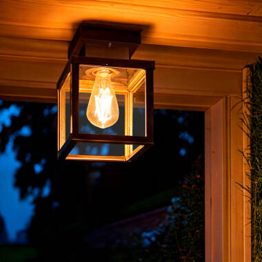 Theia Stainless Steal Outdoor Ceiling Lamp