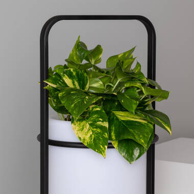 Image of Plant Pot 5W Outdoor Rechargeable RGB LED Floor Lamp Ø30 cm IP65 