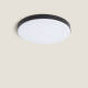 Image de Plafonnier LED Extérieur Rond 24W Dimmable Ø220 mm