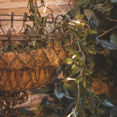 Lilac LED String Light