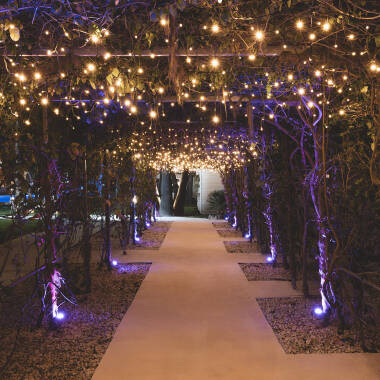 Rideau de Guirlande LED Dimmable