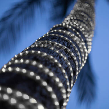 Gaine LED Ronde 220V AC 36 LED/m Blanc Froid IP65 sur Mesure Coupe Tous les 100cm