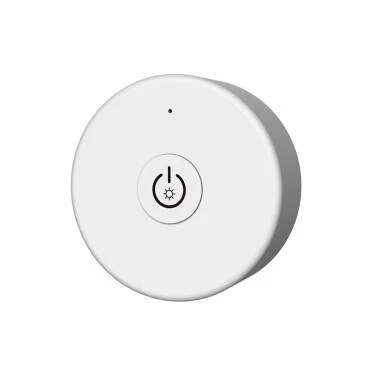 Télécommande Monochrome SKYDANCE R1-1 pour Contrôleur et Régulateur RF