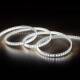 Immagine di Striscia LED 220V AC 100 LED/m Bianco Freddo IP67 su Misura Larghezza 14mm Taglio ogni 25cm