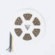 Bild von LED-Streifen 24V RGB+CCT SMD 216 LED/m 5m 18W/m Breite 10mm Schnitt 5cm IP20