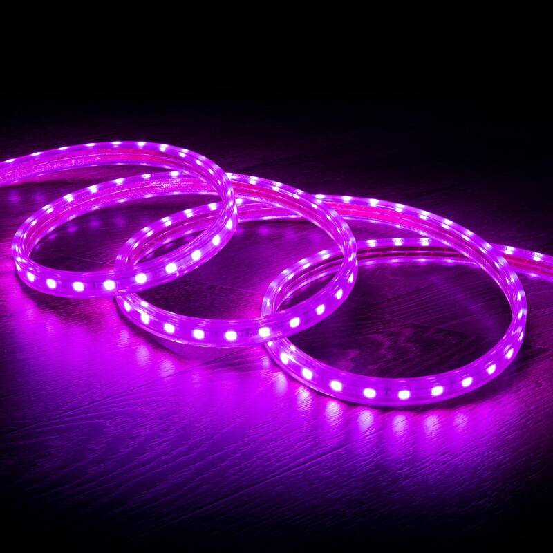 Image of 220V AC Purple LED Strip 60LED/m IP65