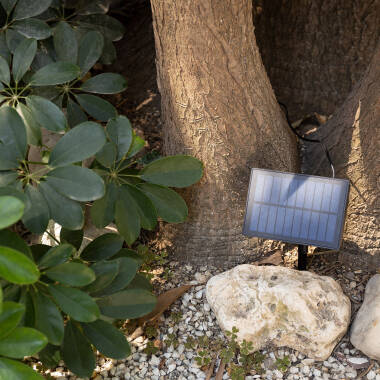 Bild von LED-Girlande aus Glühbirnen Aussen Solar Kuiper 7m