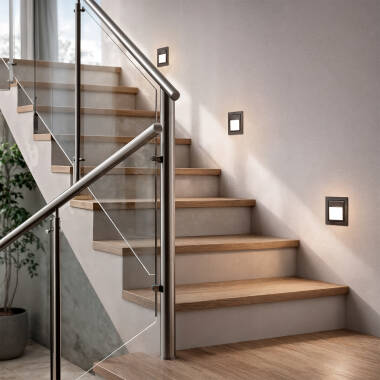 Afbeelding van LED Wandlamp 1.5W Inbouw Larry LED RVS