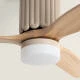 Image de Ventilateur de Plafond avec Éclairage Silencieux DC Asteri