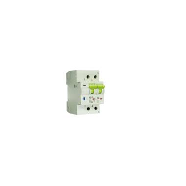 Gecombineerde permanente overspanningsbeveiliging met herstartfunctie  MT66 IGA MAXGE 2P 180–270 V