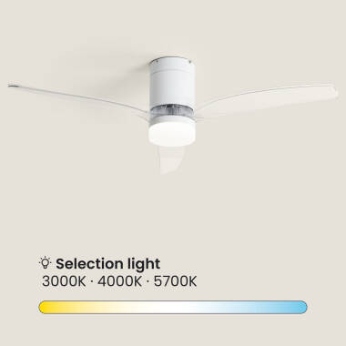 Bild von Deckenventilator mit Licht Lautlos DC Holzflügel Leros