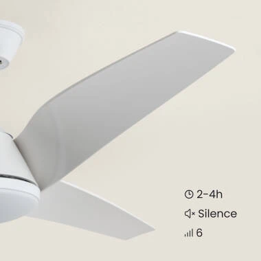 Bild von Deckenventilator mit Licht Lautlos DC Eubea